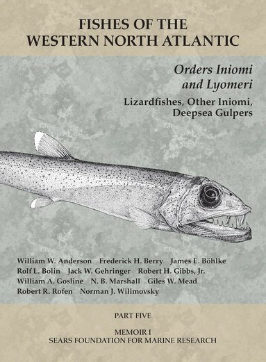 William W Anderson, Frederick H Berry, James E Böhlke, Rolf L Bolin, Jack W Gehringer, Robert H. Gibbs, William A Gosline, N. B. Marshall, Giles W Mead, Robert R Rofen, Norman J Wilimovsky, William W. Anderson, William W Anderson - Orders Iniomi and Lyomeri, Häftad