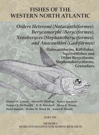 bokomslag Orders Heteromi (Notacanthiformes), Berycomorphi (Beryciformes), Xenoberyces (Stephanoberyciformes), Anacanthini (Gadiformes)