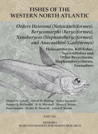 Daniel M. Cohen, Alfred W Ebeling, Tomio Iwamoto, Samuel B McDowell, N. B. Marshall, Donn E Rosen, Pearl Sonoda, Walter H Weed III, Loren P Woods - Orders Heteromi (Notacanthiformes), Berycomorphi (Beryciformes), Xenoberyces (Stephanoberyciformes), Anacanthini (Gadiformes), Häftad
