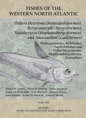 Orders Heteromi (Notacanthiformes), Berycomorphi (Beryciformes), Xenoberyces (Stephanoberyciformes), Anacanthini (Gadiformes) 1