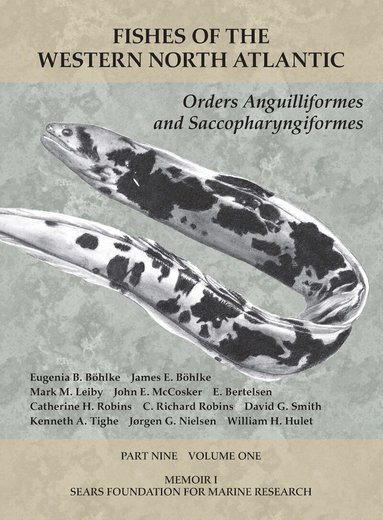 Eugenia B. Böhlke, James E Böhlke, Mark M Leiby, John E McCosker, E. Bertelsen, Catherine H Robins, C. Richard Robins, David G Smith, Kenneth A Tighe, Jørgen G Nielsen, William H Hulet - Orders Anguilliformes and Saccopharyngiformes, Häftad