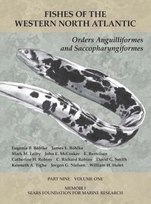 Orders Anguilliformes and Saccopharyngiformes 1