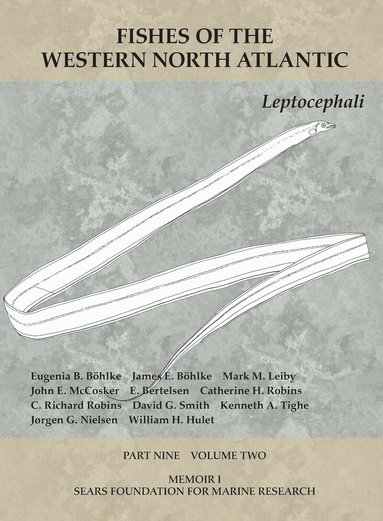Eugenia B. Böhlke, James E Böhlke, Mark M Leiby, John E McCosker, E. Bertelsen, Catherine H Robins, C. Richard Robins, David G Smith, Kenneth A Tighe, Jørgen G Nielsen, William H Hulet - Leptocephali, Häftad