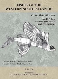 bokomslag Order Beloniformes: Needlefishes, Sauries, Halfbeaks, and Flyingfishes