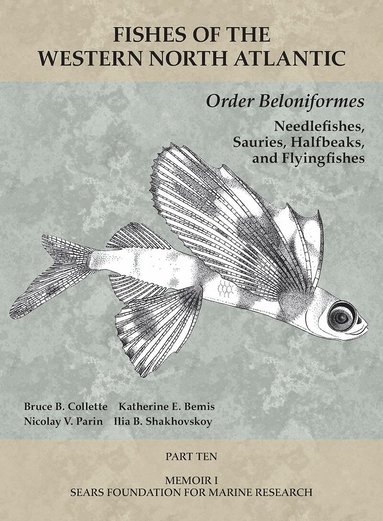 Bruce B. Collette, Katherine E Bemis, Nicolay V Parin, Ilia B Shakhovskoy - Order Beloniformes: Needlefishes, Sauries, Halfbeaks, and Flyingfishes, Häftad