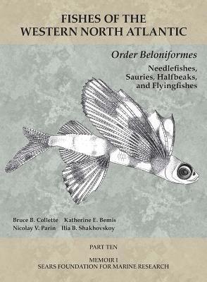 Order Beloniformes: Needlefishes, Sauries, Halfbeaks, and Flyingfishes 1