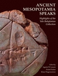 bokomslag Ancient Mesopotamia Speaks