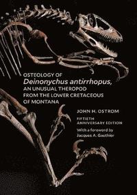 bokomslag Osteology of Deinonychus antirrhopus, an Unusual Theropod from the Lower Cretaceous of Montana