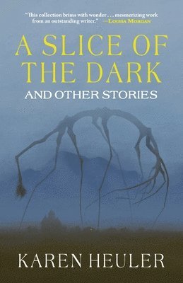 Karen Heuler - A Slice of the Dark and Other Stories, Häftad