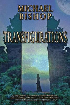 Transfigurations 1