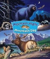 bokomslag Mountain Night Mountain Day