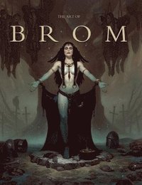 bokomslag The Art Of Brom