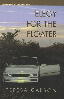 Elegy for the Floater 1
