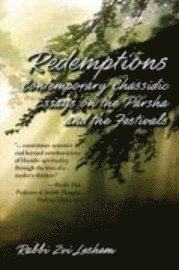 Redemptions: Contemporary Chassidic Essays on the Parsha and the Festivals 1