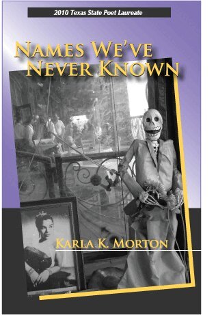 Karla K. Morton - Names We've Never Known, Häftad