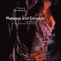 bokomslag Plateaus and Canyons: Impressions of the American Southwest