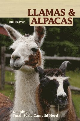 bokomslag Llamas and Alpacas