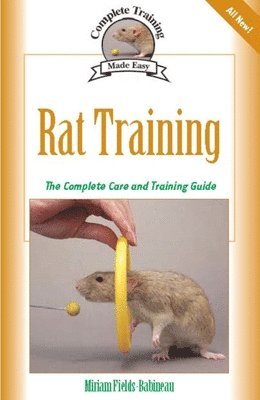 Rat Training 1
