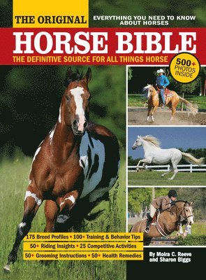 bokomslag The Original Horse Bible