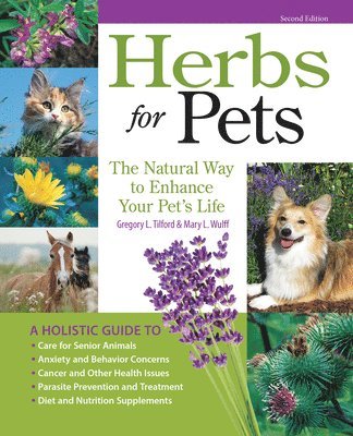 Herbs for Pets 1