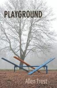 bokomslag Playground