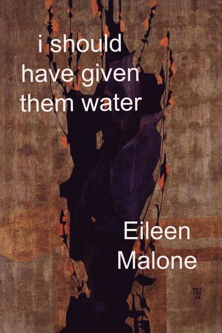 I Should Have Given Them Water