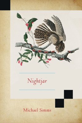 bokomslag Nightjar