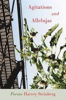 Harvey Steinberg - Agitations and Allelujas, Häftad