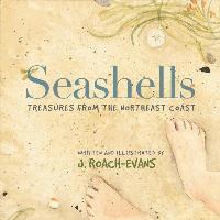 bokomslag Seashells: Treasures from the Northeast Coast