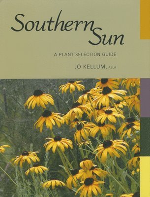 Southern Sun 1