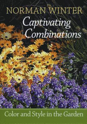 Captivating Combinations 1