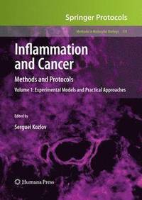 bokomslag Inflammation and Cancer