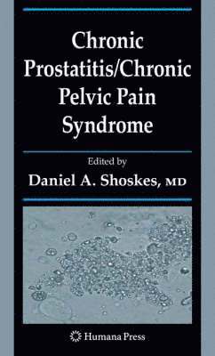 bokomslag Chronic Prostatitis/Chronic Pelvic Pain Syndrome