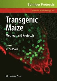 bokomslag Transgenic Maize