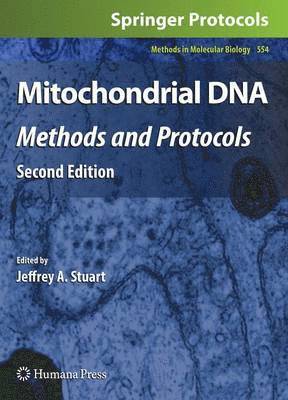 Mitochondrial DNA 1