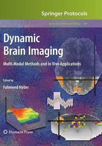 bokomslag Dynamic Brain Imaging