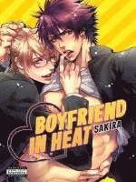 bokomslag Boyfriend in Heat