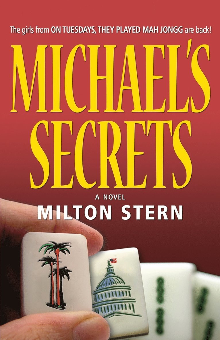 Milton Stern - Michael's Secrets, Häftad