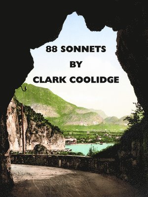 bokomslag 88 Sonnets: Poems