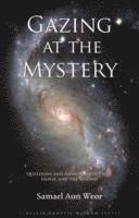 Gazing at the Mystery 1