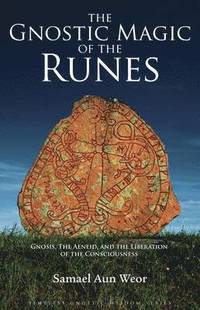 bokomslag Magic of the Runes: And Spiritual Secrets of Virgil's Aeneid