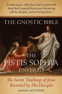 bokomslag Gnostic Bible