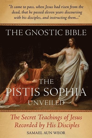 bokomslag Gnostic Bible