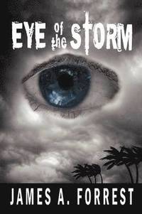 bokomslag Eye of the Storm