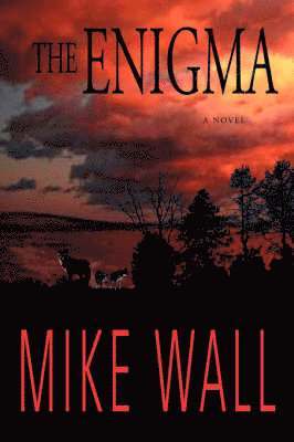 Enigma