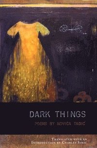 bokomslag Dark Things