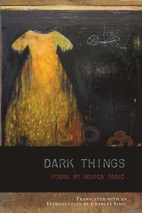 bokomslag Dark Things