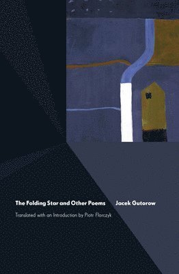 bokomslag The Folding Star and Other Poems