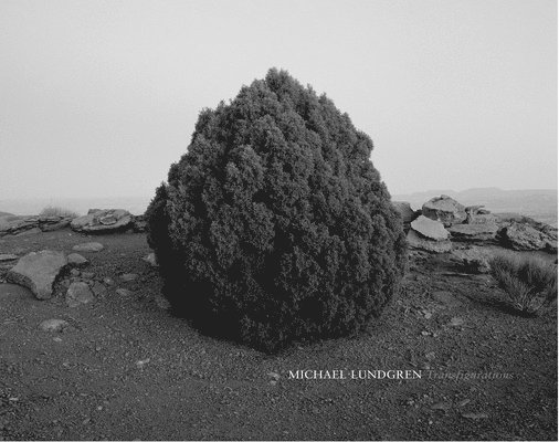 Michael Lundgren: Transfigurations, Inbunden