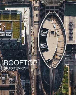 Brad Temkin: Rooftop 1